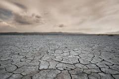 IMCO: la disponibilidad de agua por habitante en México caería debajo de 3,000 m³ para 2030