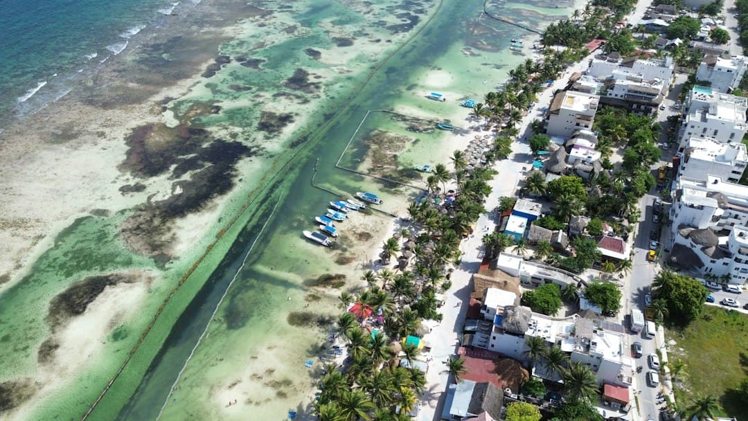 Regidores de Bahía de Banderas sospechan de la planta de San Vicente operada por Oromapas en los derrames de aguas negras