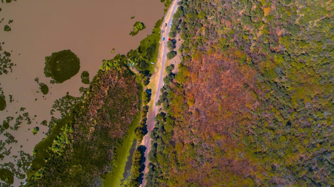 Estrés hídrico en México: 73% del territorio afectado mientras el norte acumula siete años de sequía extrema