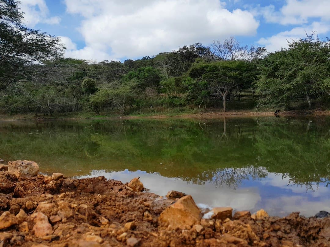 El mapa del agua en México: 286 acuíferos sin disponibilidad y una presión de 128.7% en el Valle de México