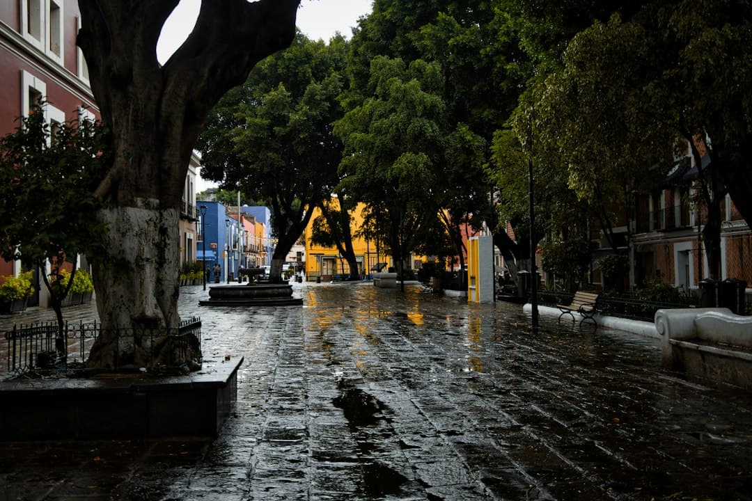 El Estado de México revela que 17% de su territorio está en riesgo de inundación, mientras las lluvias ya golpean Oaxaca y Acapulco