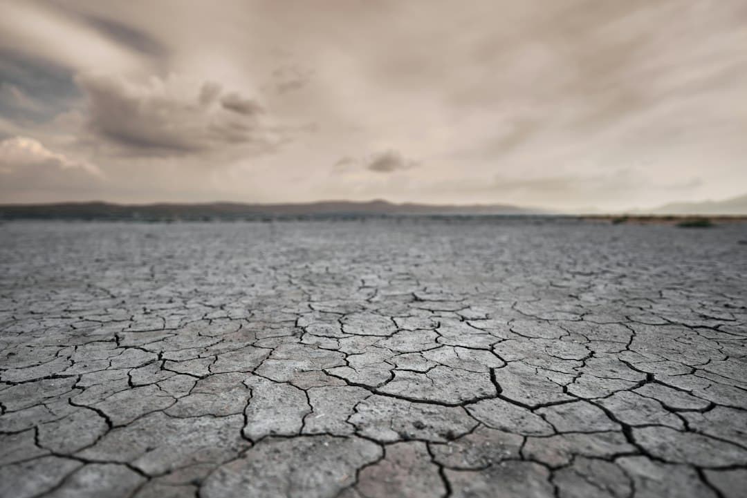 IMCO: la disponibilidad de agua por habitante en México caería debajo de 3,000 m³ para 2030