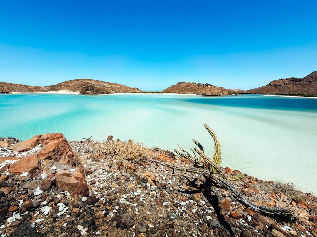 Sabotaje a pozos de La Ardilla deja sin agua a más de 12 mil personas en La Paz, BCS